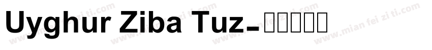 Uyghur Ziba Tuz字体转换